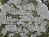image of grave number 371139